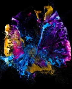 colori